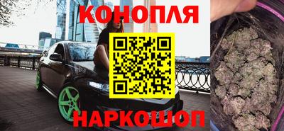 молекула духа Камышлов