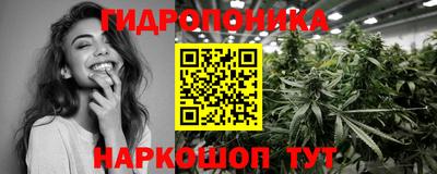 молекула духа Камышлов