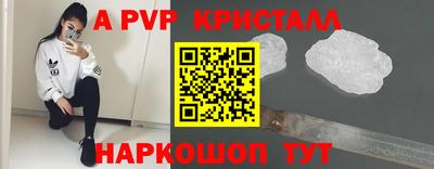 молекула духа Камышлов