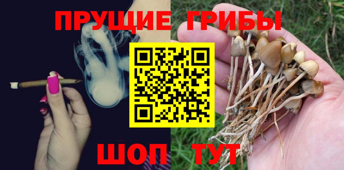 Красноармейск  Галлюциногенные грибы MAGIC MUSHROOMS  Вход с VPN  Галлюциногенные грибы мухоморы 
