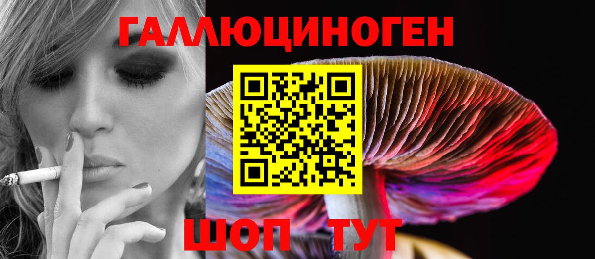 Псилоцибиновые грибы Psilocybine cubensis Красноармейск